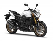2011 Yamaha FZ8 photo